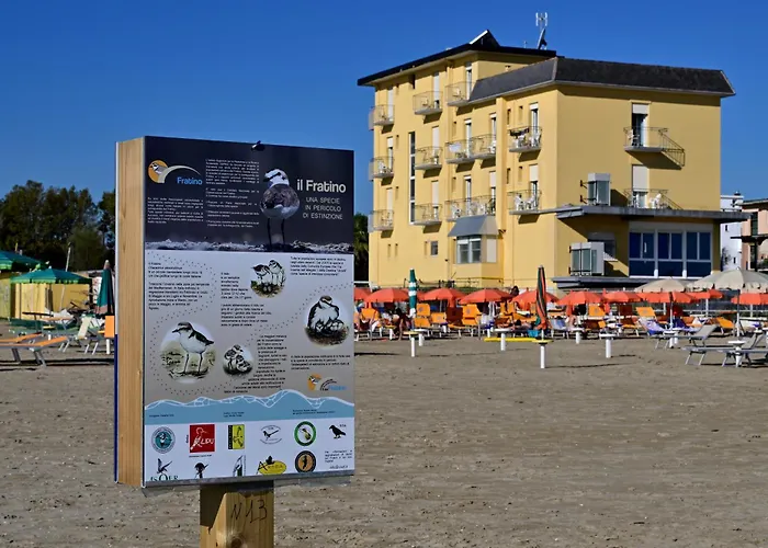 Hotel Biagini Rimini